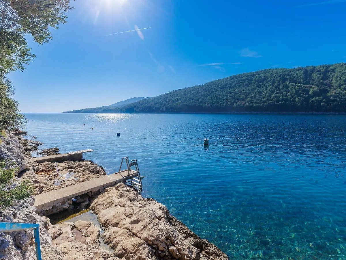 Holiday Home Villa Dragica By Interhome Labin  Labin (Istria)